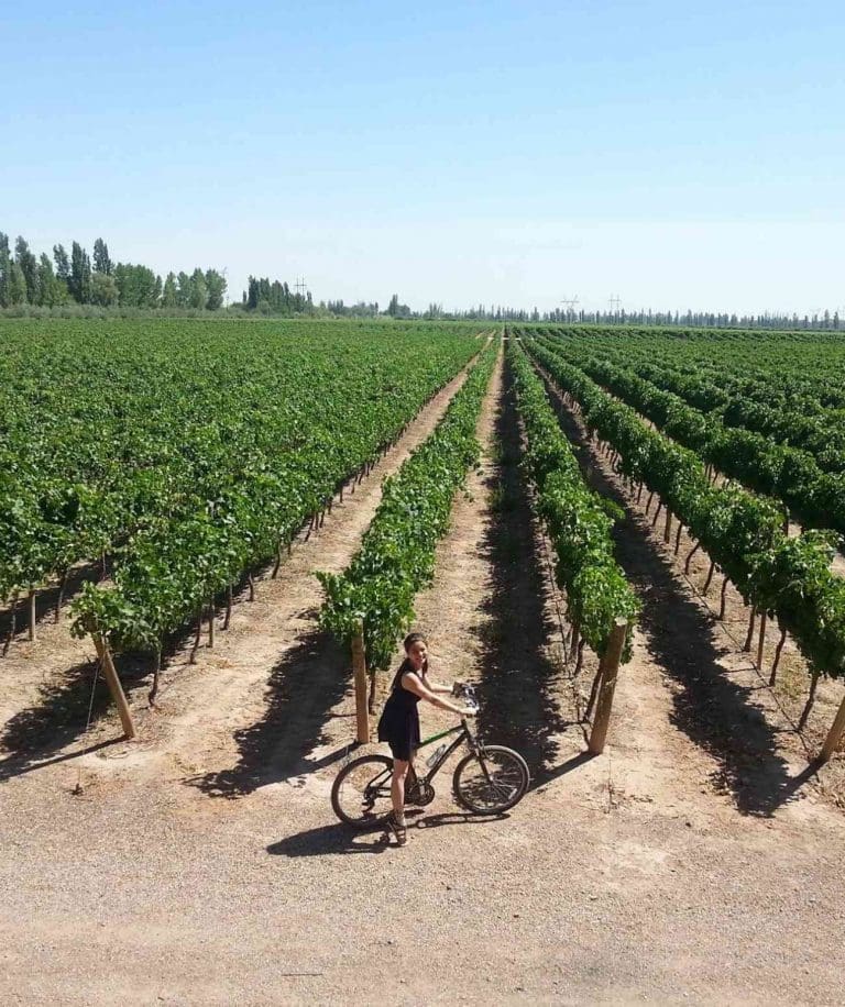The mighty Mendoza wine tours experience in Argentina: I did it solo!