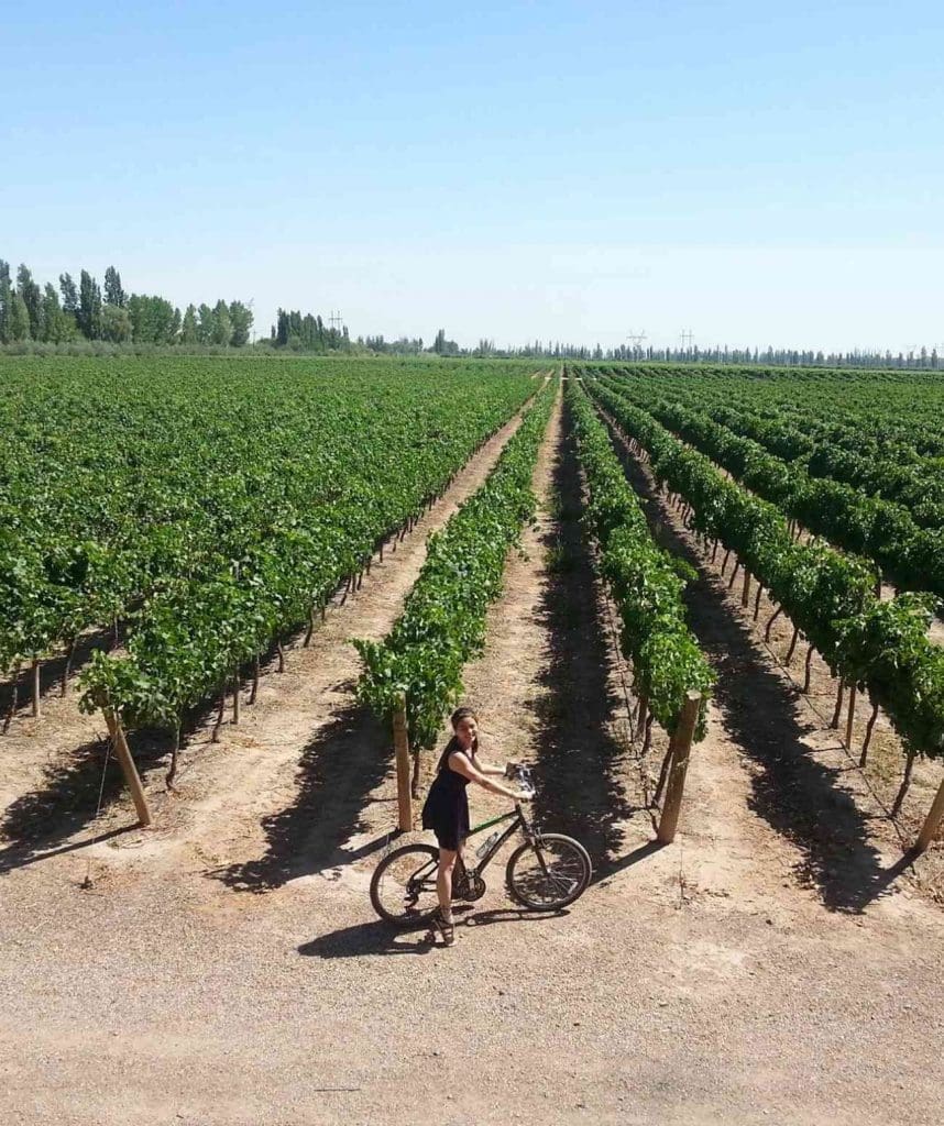 mendoza wine tours