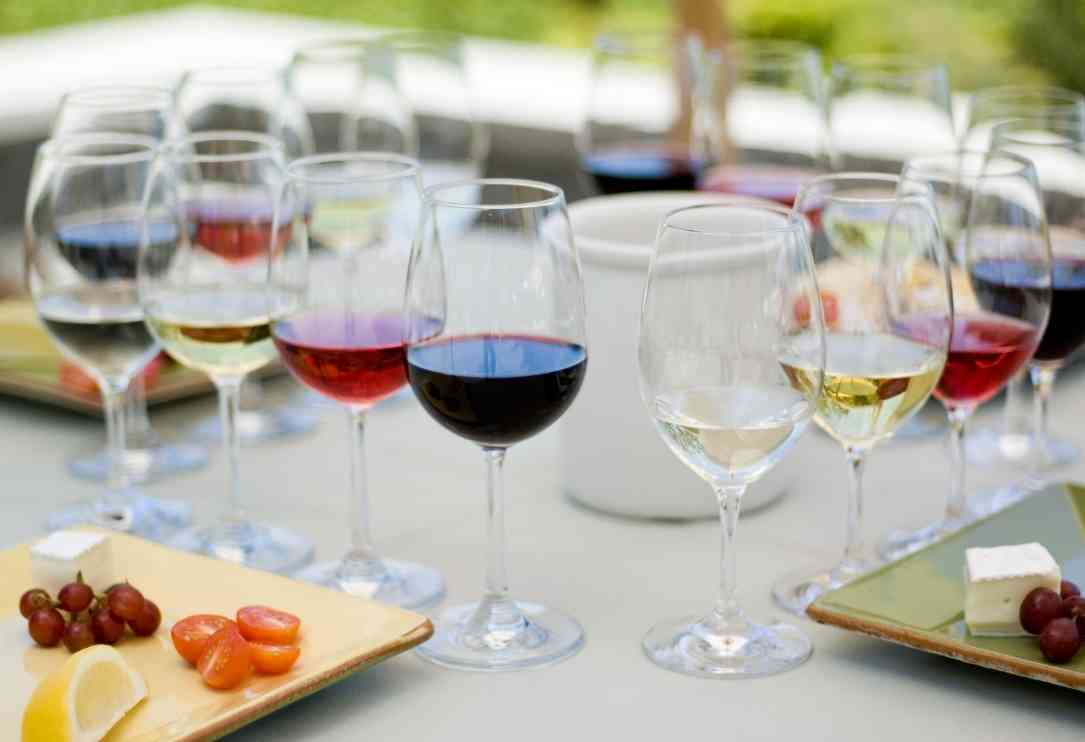 mendoza wine tours