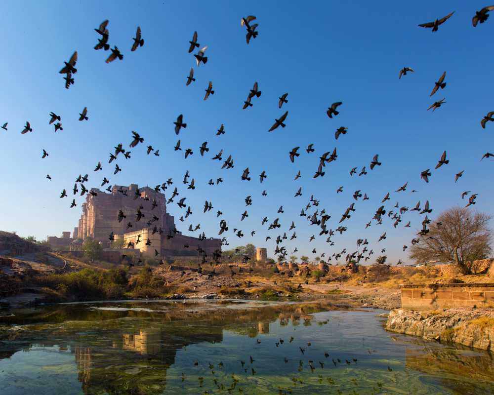 places to visit in india