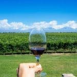 mendoza wine tours