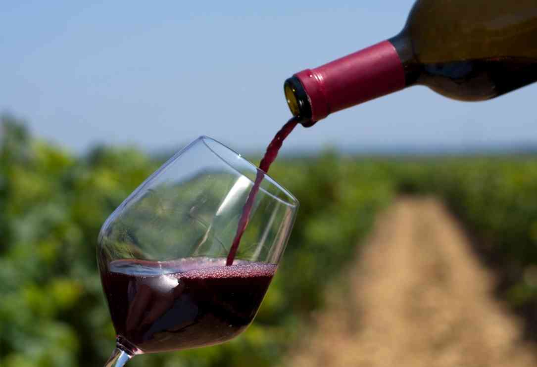 mendoza wine tours
