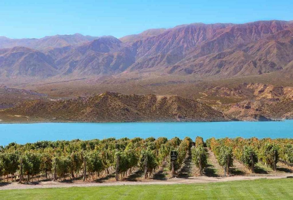 mendoza wine tours