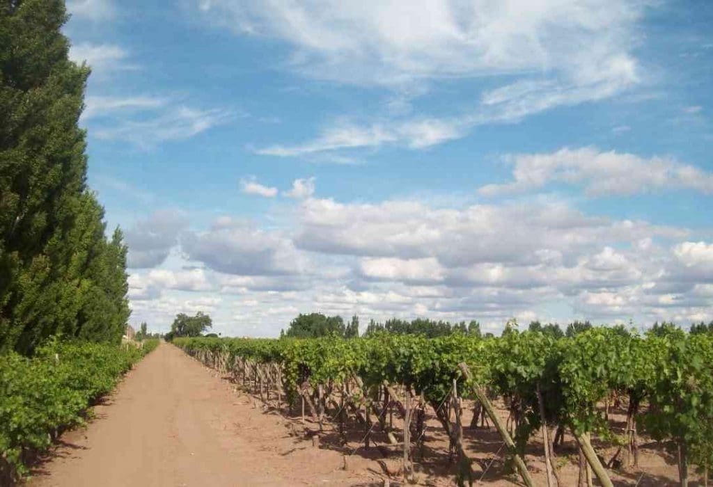 mendoza wine tours