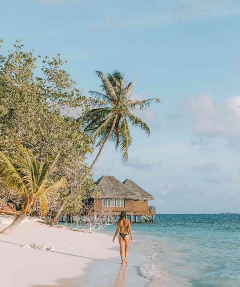 Take a look inside Bandos Maldives: affordable vacations in the Maldives