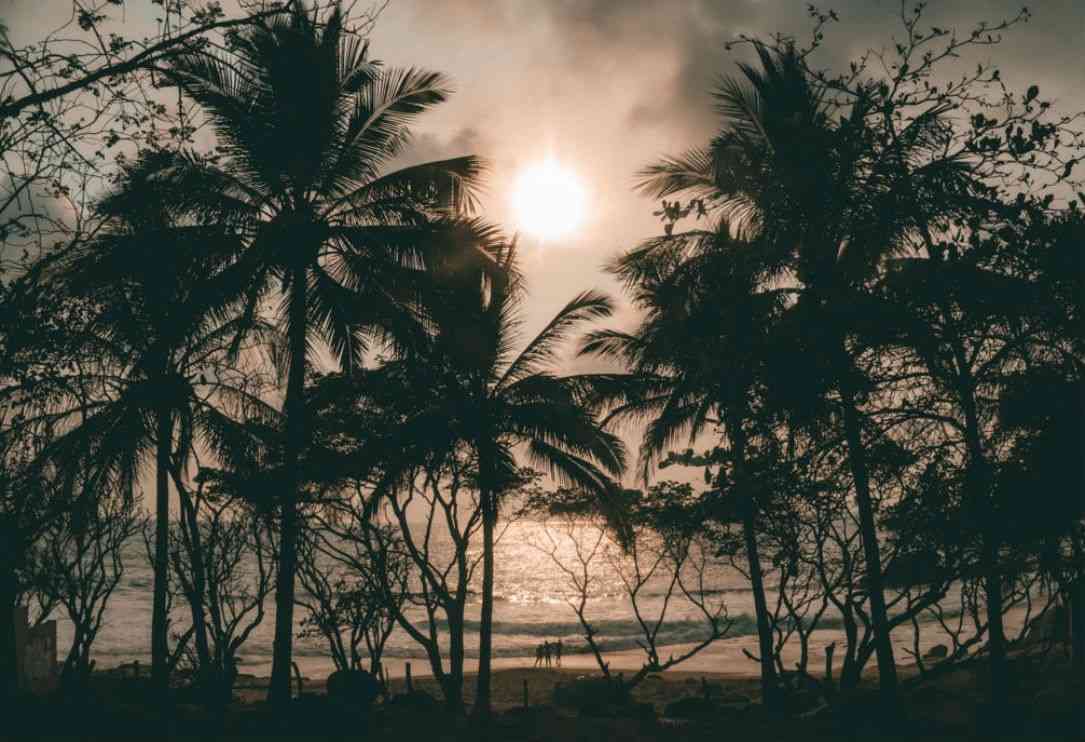 sayulita things to do