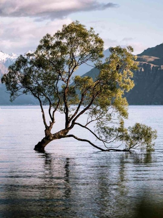solo female travel in wanaka