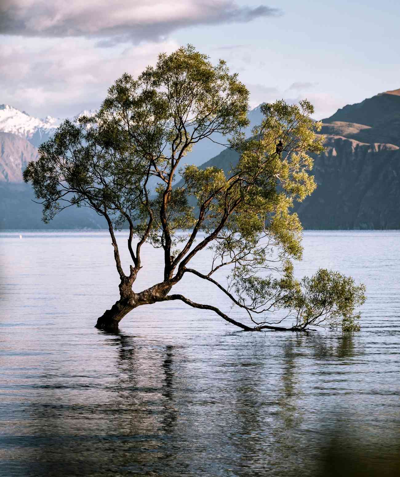 solo female travel in wanaka