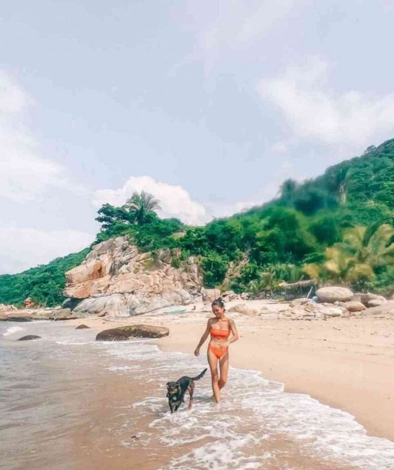 43 local things to do in Sayulita Mexico