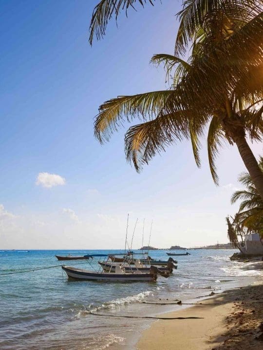 living in playa del carmen