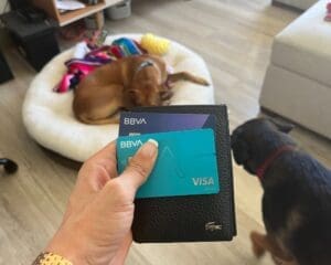 open a bank account in mexico