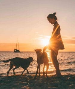 la paz cost of living