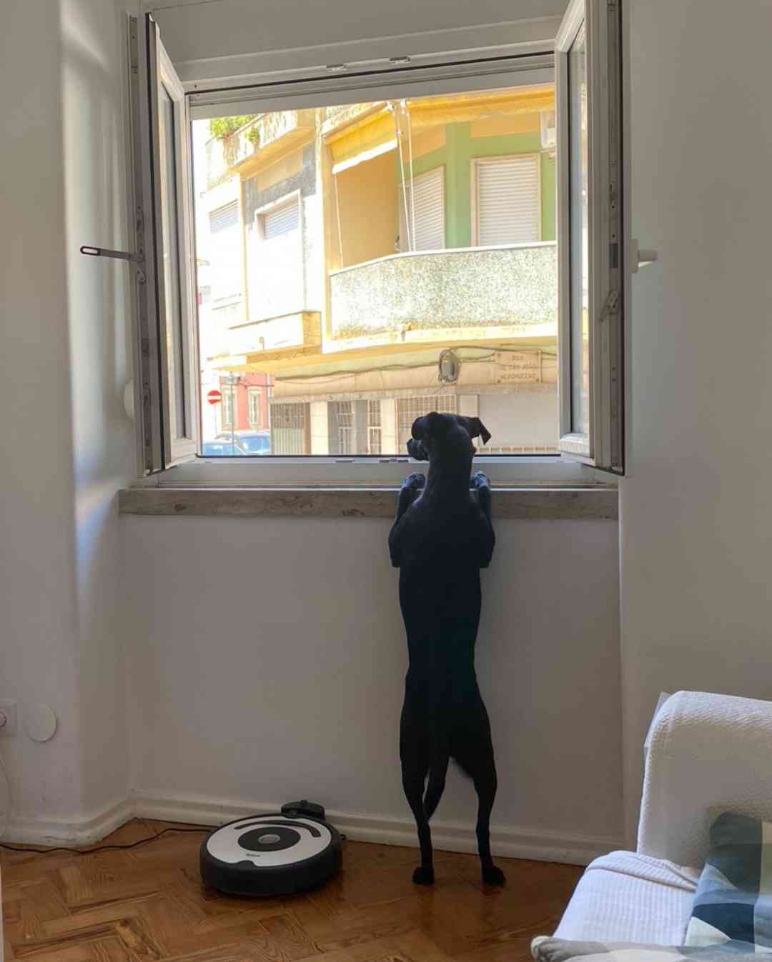 living in lisbon