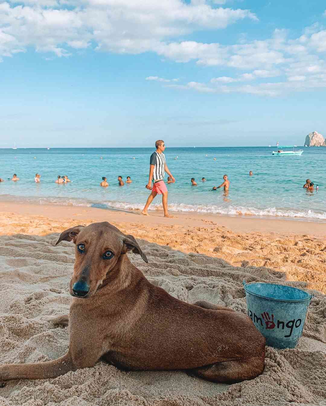 living in cabo san lucas