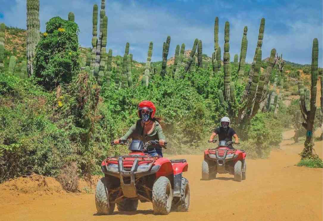 things to do in cabo