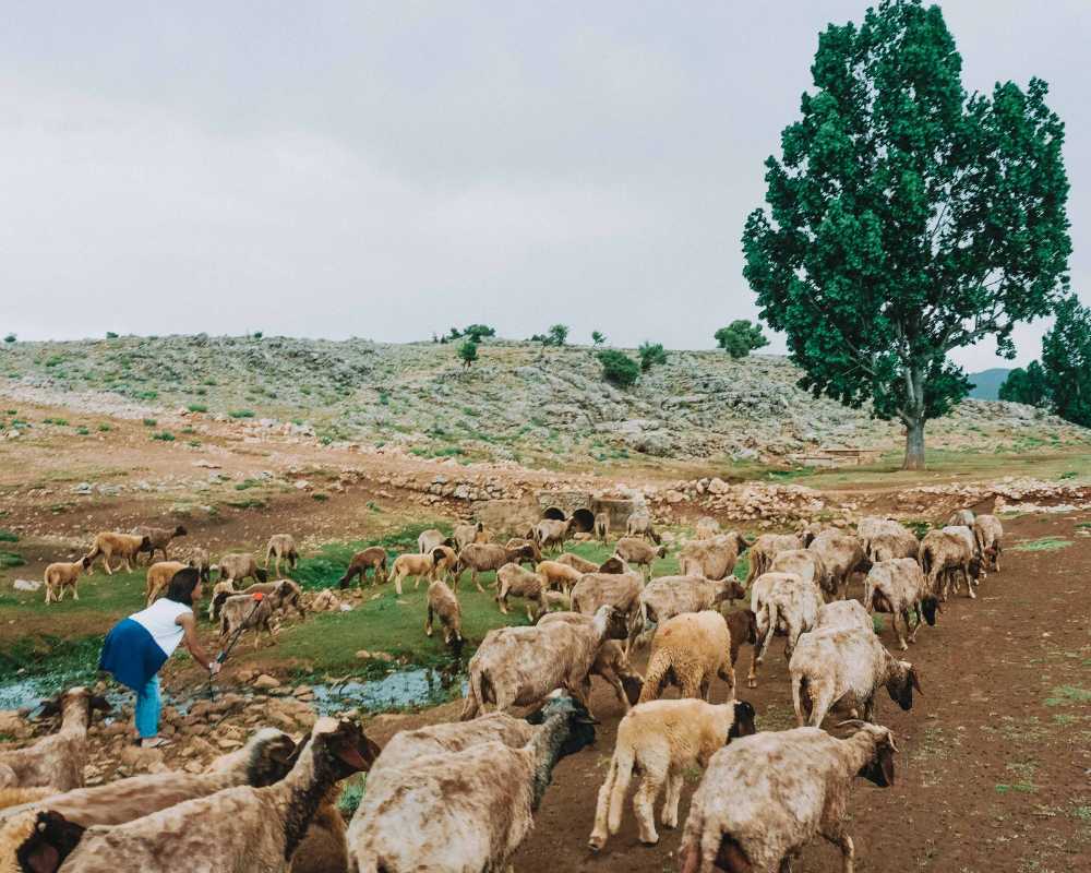 morocco itinerary