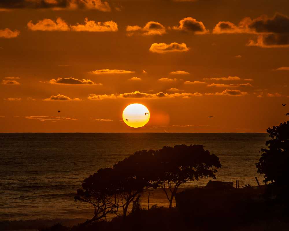 day trips from sayulita
