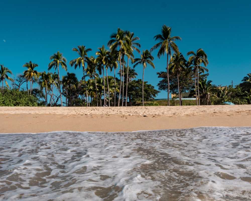 day trips from Sayulita