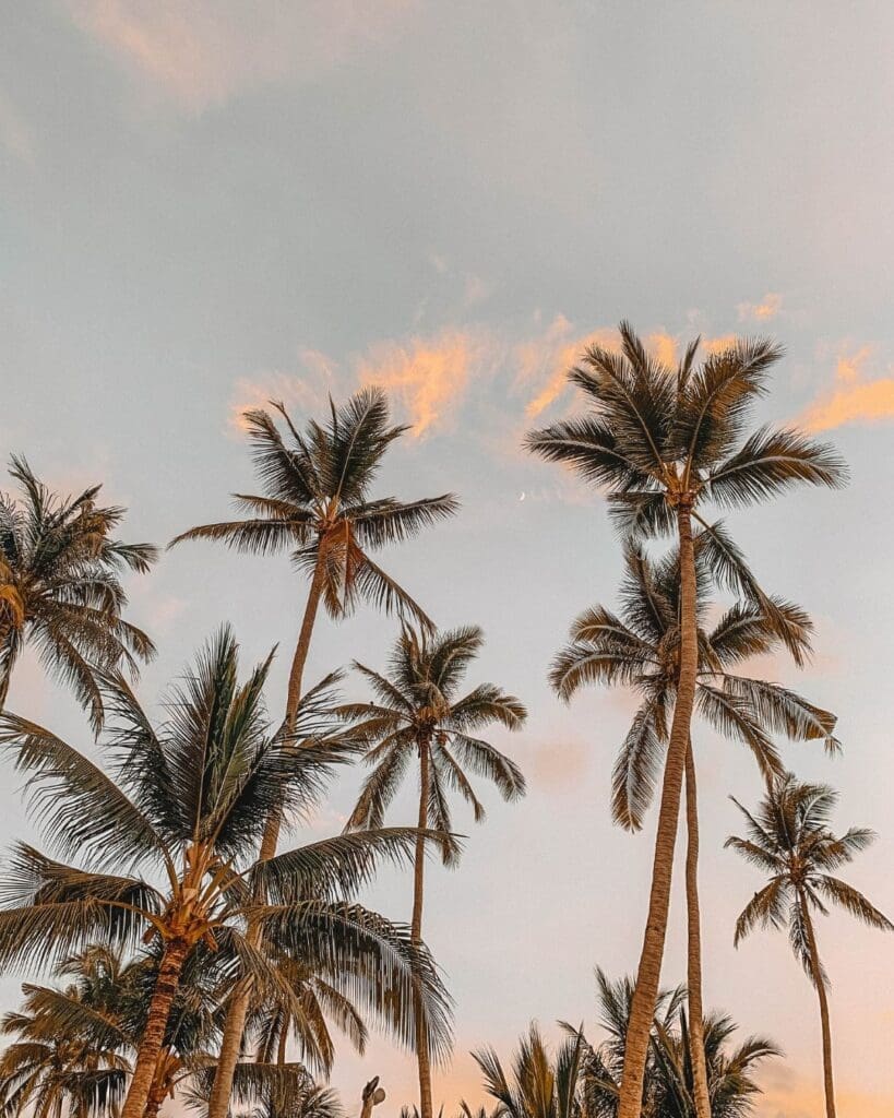 solo female travel in Sayulita Mexico