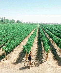 argentina solo travel