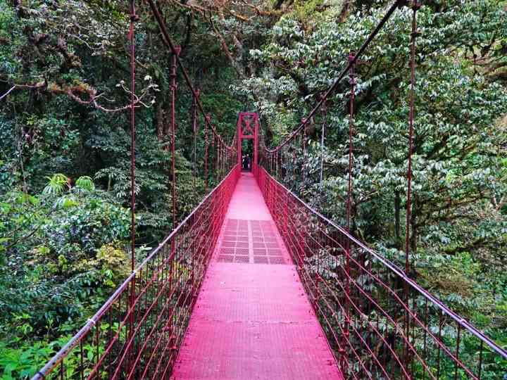 things to do in costa rica
