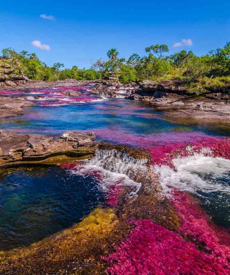 Things to do in Colombia - Caño Cristales