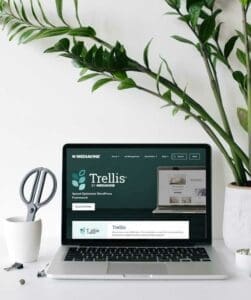 best responsive theme for wordpress