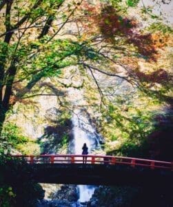 things to do in osaka