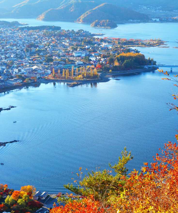 things to do in tokyo japan