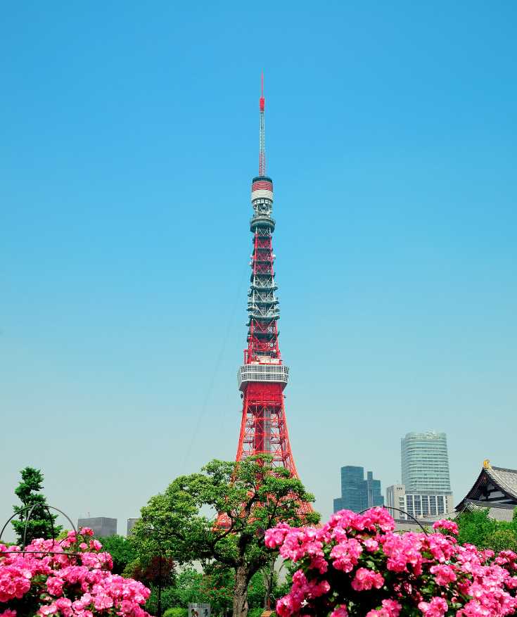 The best places to visit in Tokyo and top attractions