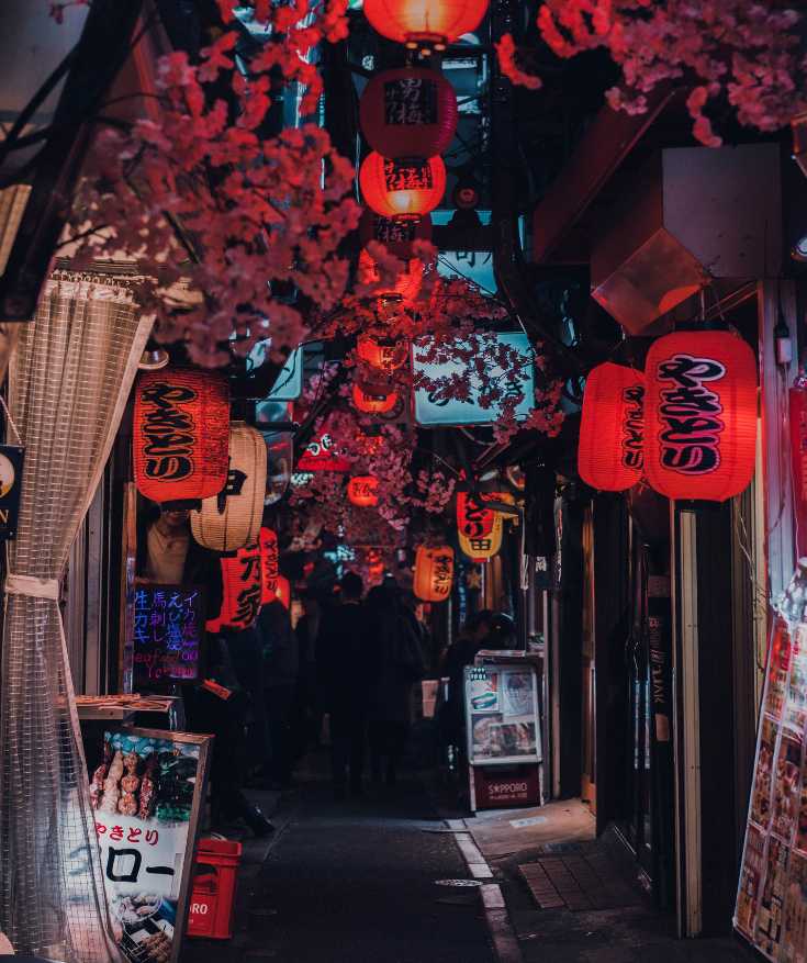 tokyo itinerary