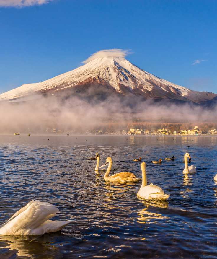 tokyo itinerary