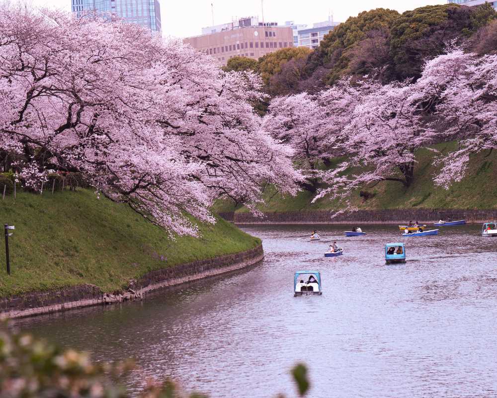 best time to visit tokyo