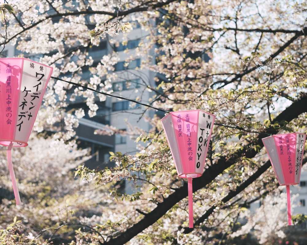 best time to visit tokyo