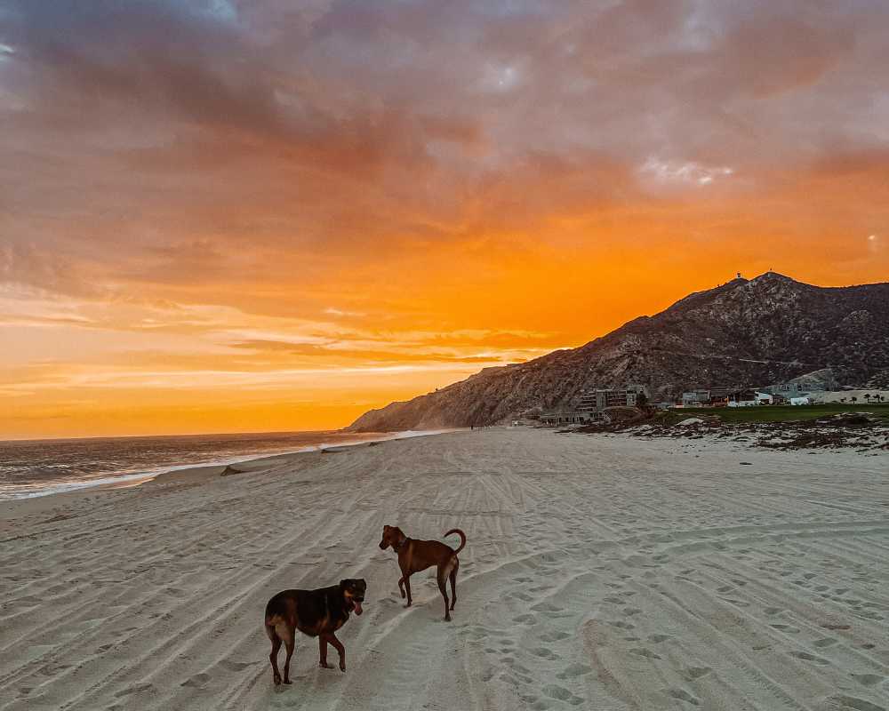 is cabo san lucas safe