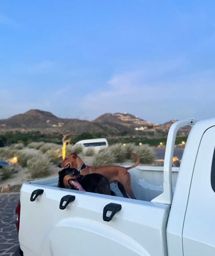 is cabo san lucas safe