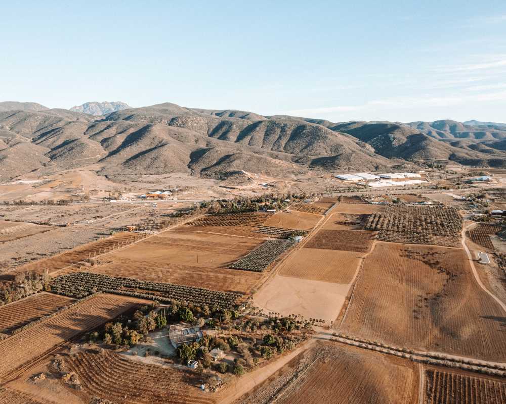 valle de guadalupe mexico