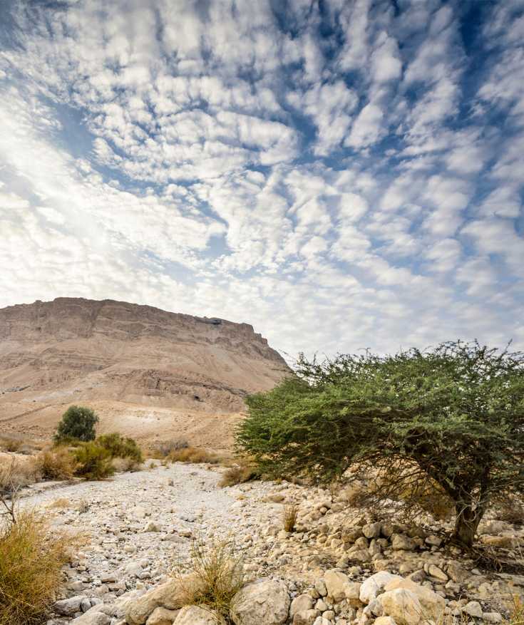 israel and jordan tour