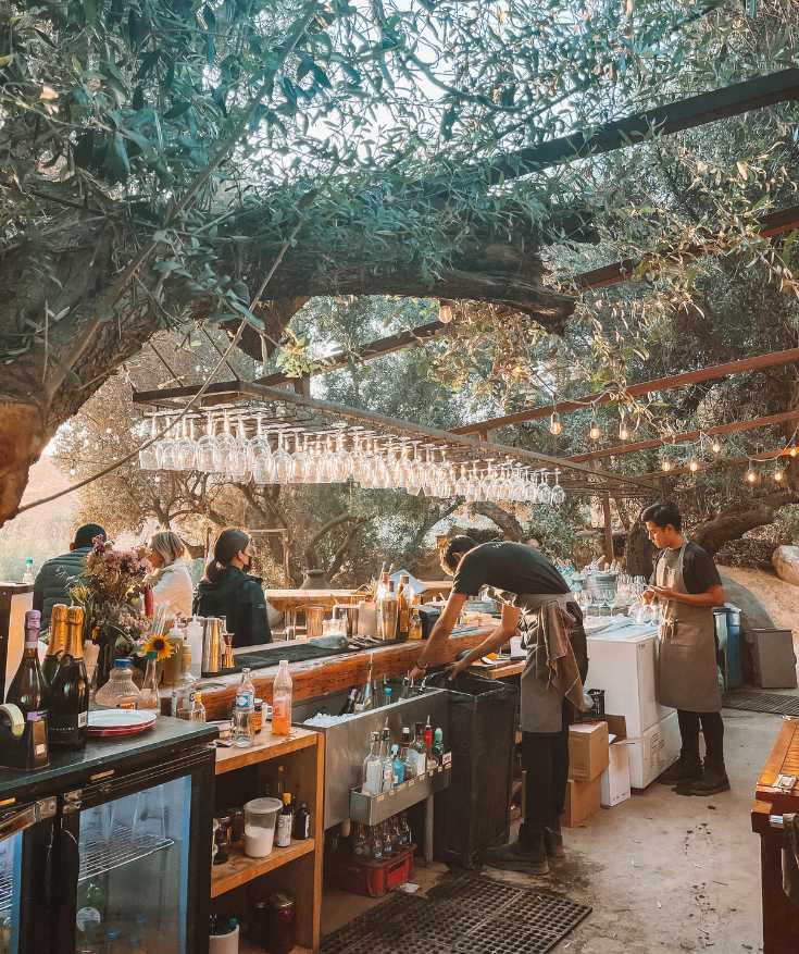 valle de guadalupe mexico