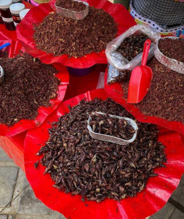 oaxaca food