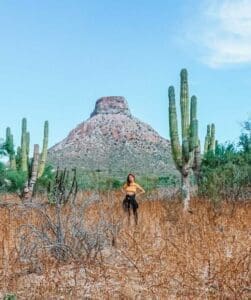 baja california sur mexico