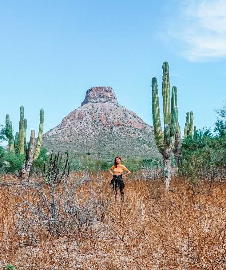 baja california sur mexico