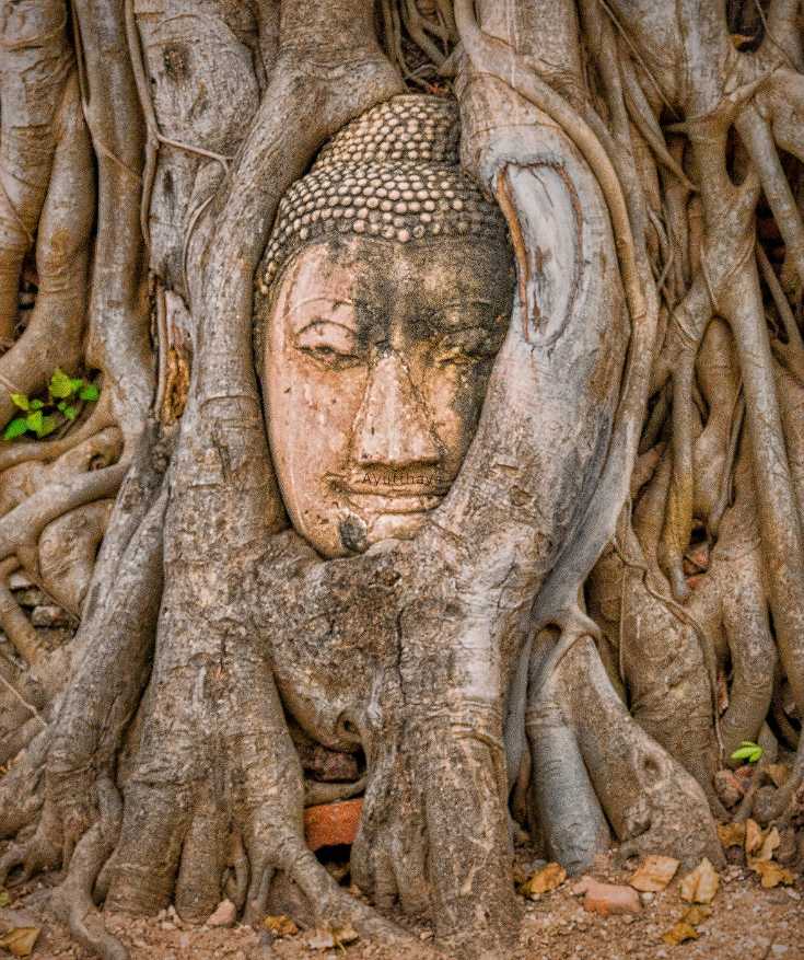 places to visit in Thailand