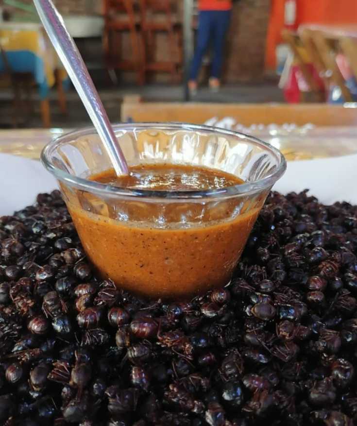 food from oaxaca