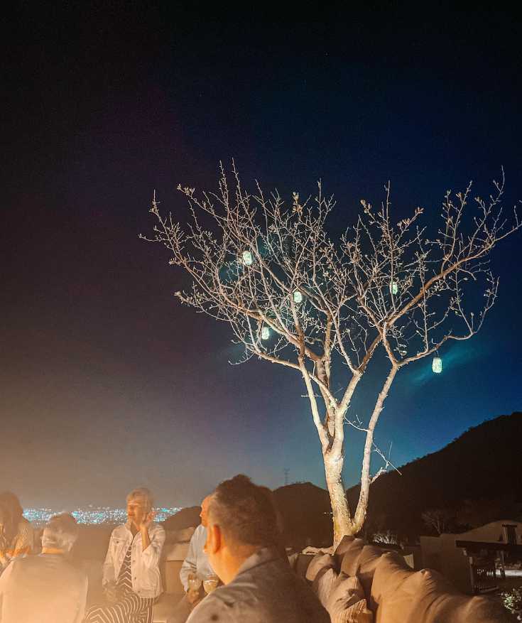 restaurants in cabo san lucas