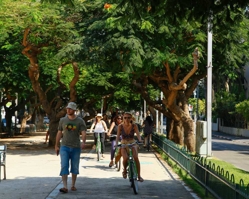tel aviv bike rental
