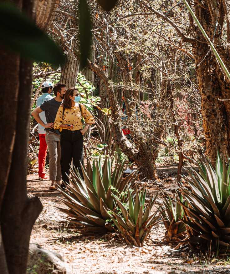 oaxaca itinerary