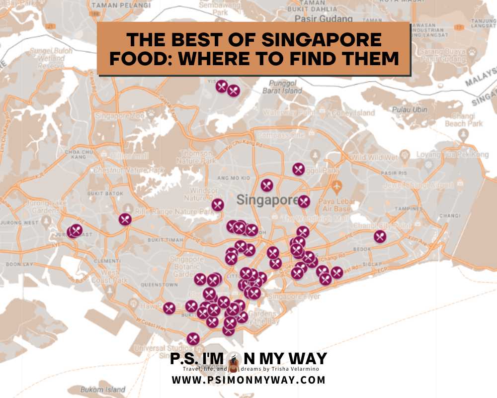 singapore food